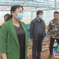 蓝山：邓群带队督导粮食生产、耕地抛荒治理等工作