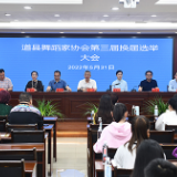 道县舞蹈家协会第三届一次代表大会召开