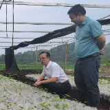 永州市市场监督管理局深入东泉村调研指导