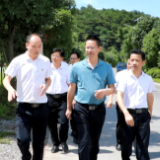 省农业农村厅到新田调研指导农作物抗灾救灾工作