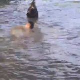 视频丨东安：两名儿童不慎落水 巡河干部成功解救