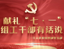视频丨江永：献礼“七一” 组工干部有话说