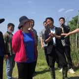 祁阳市:激活乡村振兴的“人才密码”