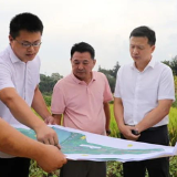 东安：唐何调研指导调元渡口“渡改桥”项目建设