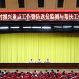 东安县组织召开乡村振兴重点工作暨防返贫监测与帮扶工作培训会