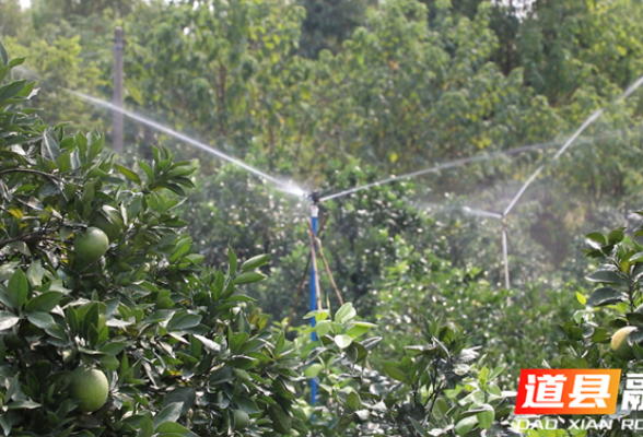 道县：改造节水灌溉设施 科学抗旱