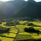 视频丨湖南新田：粮满仓 “丰”景美
