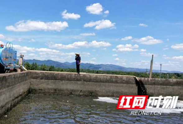 祁阳：昔日“废沼液” 今日“农家宝”