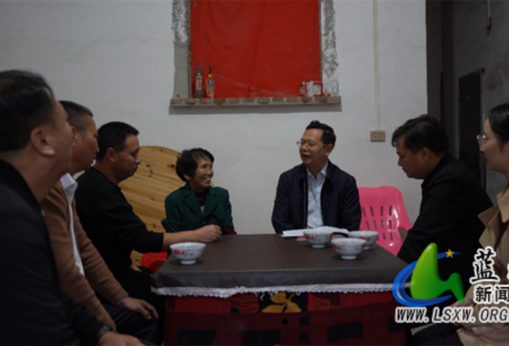 蓝山：龙向洋调研耕地保护、粮食安全和有效衔接工作