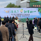 江永县开展2023年度“优质香柚园”现场评选活动