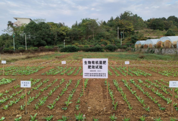 祁阳：推广生物菌肥 发展绿色农业