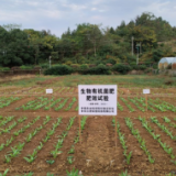 祁阳：推广生物菌肥 发展绿色农业