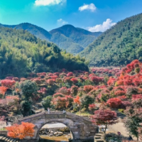 蓝山谷：“枫”景迷人（组图）