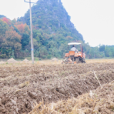 宁远湾井镇5600亩良田已完成油菜花起垄撒种