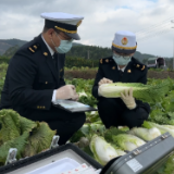 江永：从田间地头到餐桌美味 蔬菜7小时直供香港