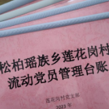 江永松柏瑶族乡：坚持“三个聚焦” 推动流动党员学习教育提质增效