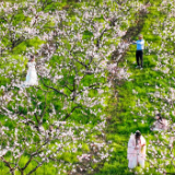 湖南道县：桃红李白竞芬芳 赏花踏青正当时