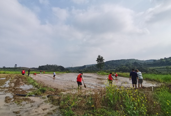 回龙圩：人勤春来早 早稻育秧忙