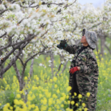 湖南道县：春分时节农事忙（组图）