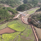 道县：推进高标准农田建设“赋能”乡村振兴