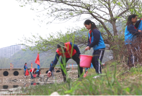 东安：保护母亲河 河小青在行动