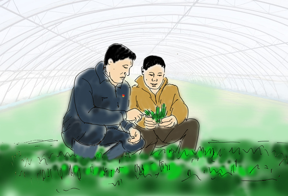 漫画丨湖南东安：“第一书记”驻村忙