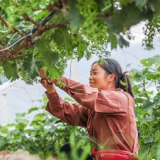 蓝山：立夏近 农事忙（组图）