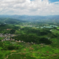 湖南新田：夏至骄阳绿正浓（组图）