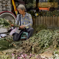 道县：端午已至 风药飘香