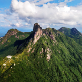 蓝山县太平圩镇：防汛抗灾除隐患