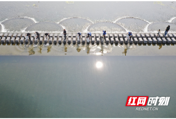 湖南道县：增殖放流 呵护母亲河（组图）