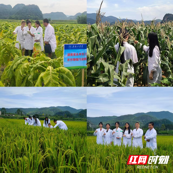 图片5_副本.png