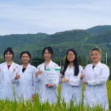 江永：大学生进基层为乡村振兴注入新活力