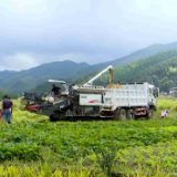 蓝山：“订单式种粮”让农户种无忧销不愁