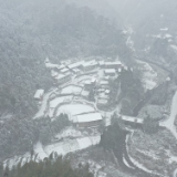 视频丨湖南新田：乡村雪景美如画