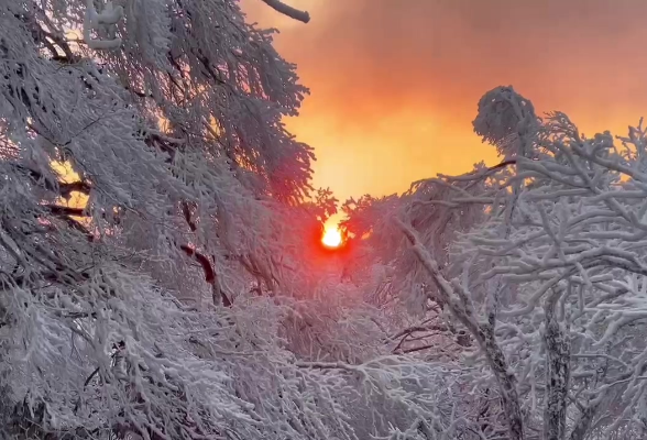 视频丨永州双牌：到阳明山，邂逅一场雾凇与雪的冬日浪漫