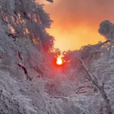 视频丨永州双牌：到阳明山，邂逅一场雾凇与雪的冬日浪漫