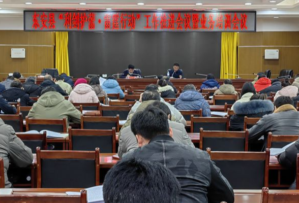 东安县召开“利剑护蕾·雷霆行动”推进会暨业务培训会