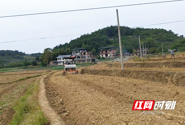 东安：油菜播种正当时 静待花开好“丰”景