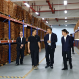 永州丨肖质彬到东安调研督导“三重一主”工作