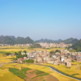 湖南新田：霜降时节秋收忙（组图）