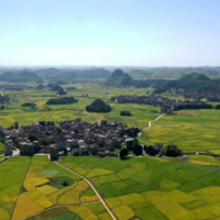 湖南新田：金秋时节田园美 多彩画卷绘“丰”景（组图）