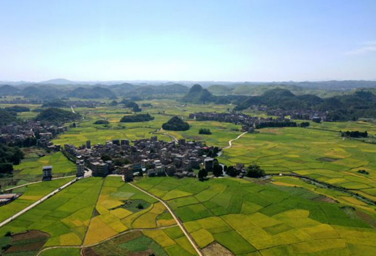 湖南新田：金秋时节田园美 多彩画卷绘“丰”景（组图）