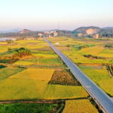 湖南新田：夕阳西下稻田美 满田尽披“黄金甲”（组图）