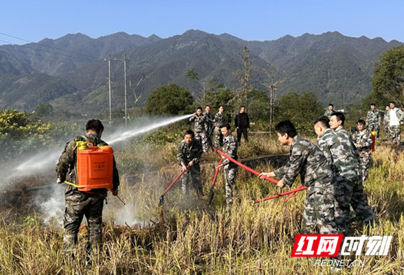 东安：压实工作责任 筑牢森林防火“铜墙铁壁”