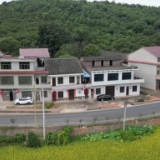 视频丨祁阳：油茶大道“变身”乡村旅游打卡地