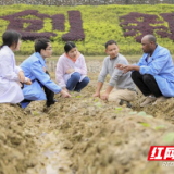 湖南科技学院化学与生物工程学院：匠心筑梦 笃行致远