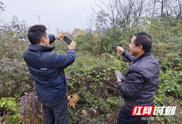 东安：全力抓好耕地流出问题整改工作