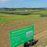 永州：大豆油菜典型案例在全国宣传推介