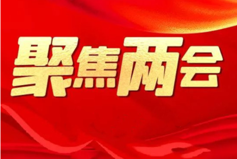 永州市政协六届四次会议召开各组召集人会议